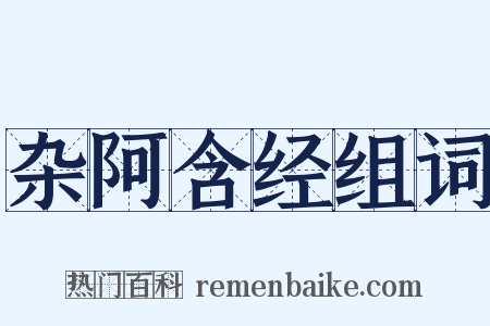 杂阿含经组词是什么意思的图片